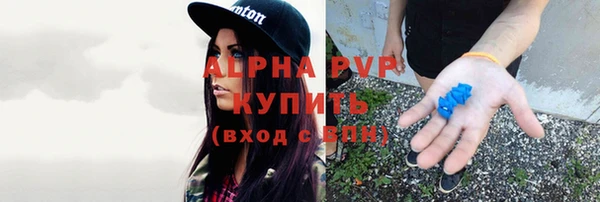 СК Заволжск
