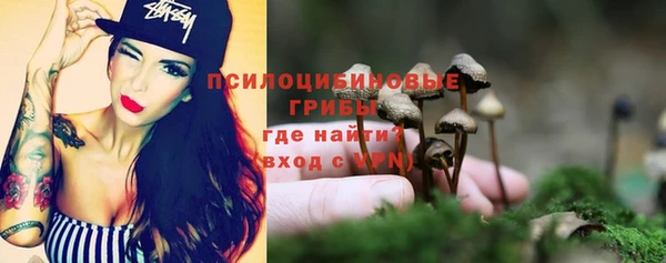 СК Заволжск