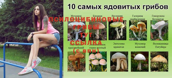 ECSTASY Заводоуковск