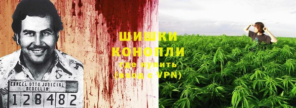ECSTASY Заводоуковск