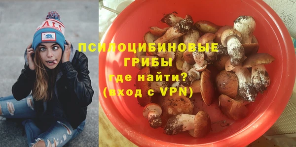 ECSTASY Заводоуковск