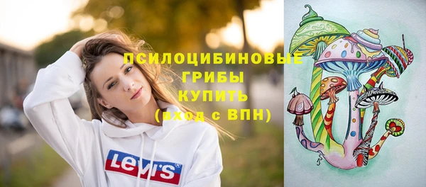 СК Заволжск