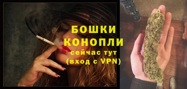 ECSTASY Заводоуковск